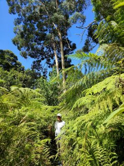 IMG20220214144941.jpg IMG20220214144941.jpg