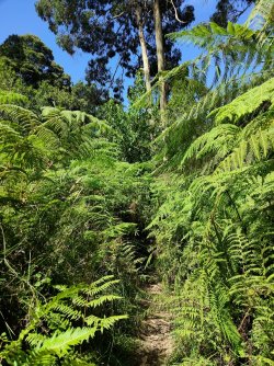 IMG20220214144914.jpg IMG20220214144914.jpg