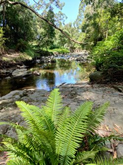 IMG20220214150123.jpg IMG20220214150123.jpg