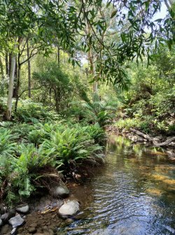 IMG20220214145820.jpg IMG20220214145820.jpg