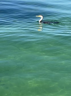 6F53049B-B4C9-4307-9784-E8AFA628FD82.jpeg 6F53049B-B4C9-4307-9784-E8AFA628FD82.jpeg