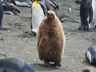 DSC06984.JPG DSC06984.JPG