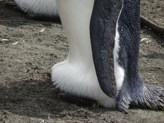 DSC06985.JPG DSC06985.JPG