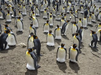 DSC06990.JPG DSC06990.JPG