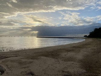 F8FD37DE-F81D-4843-9792-FAD69DDD7E75.jpeg F8FD37DE-F81D-4843-9792-FAD69DDD7E75.jpeg