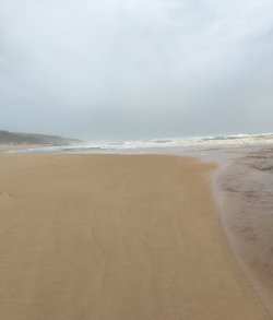 IMG20220216171540.jpg IMG20220216171540.jpg