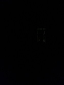 IMG_3392.JPG IMG_3392.JPG