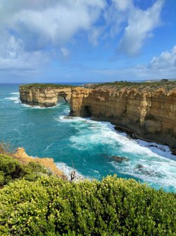 IMG20220217115230.jpg IMG20220217115230.jpg