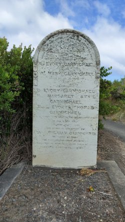 IMG20220217123042.jpg IMG20220217123042.jpg