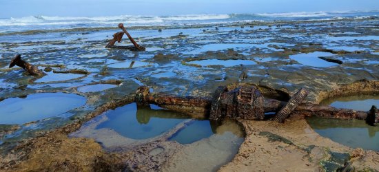 IMG20220219093151.jpg IMG20220219093151.jpg