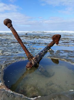 IMG20220219093047.jpg IMG20220219093047.jpg