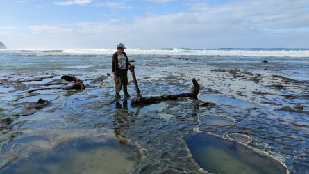 IMG20220219093003.jpg IMG20220219093003.jpg