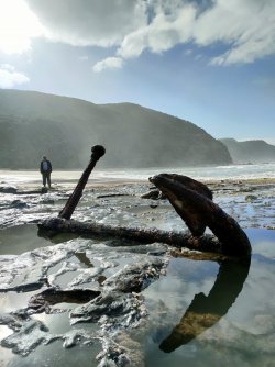 IMG20220219092733.jpg IMG20220219092733.jpg