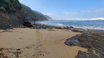 IMG20220219094526.jpg IMG20220219094526.jpg