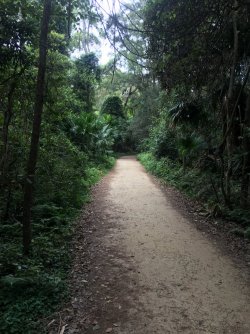 IMG_1115.JPG IMG_1115.JPG