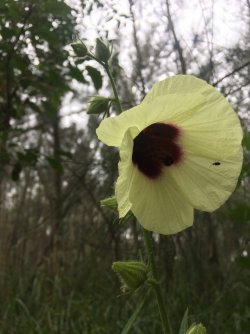 IMG_1123.JPG IMG_1123.JPG