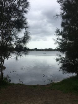 IMG_1126.JPG IMG_1126.JPG