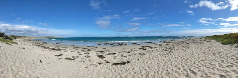 IMG20220220165855.jpg IMG20220220165855.jpg