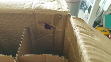 20220224_132147.jpg 20220224_132147.jpg