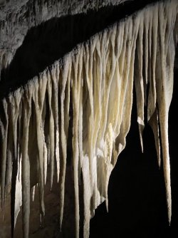 IMG_3847.JPG IMG_3847.JPG