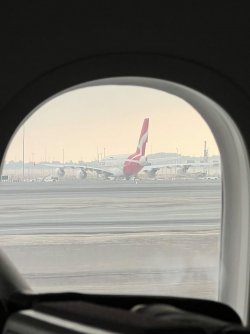 695A328E-9E65-43D3-A0BA-7628CA695BCA.jpeg 695A328E-9E65-43D3-A0BA-7628CA695BCA.jpeg