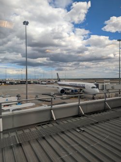 PXL_20220302_050811108.jpg PXL_20220302_050811108.jpg