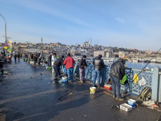 PXL_20220304_061157510.jpg PXL_20220304_061157510.jpg