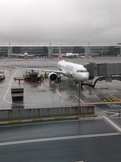 PXL_20220308_052310943.jpg PXL_20220308_052310943.jpg