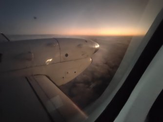 IMG_20220321_064104584.jpg IMG_20220321_064104584.jpg