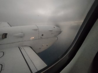 IMG_20220321_065003945.jpg IMG_20220321_065003945.jpg