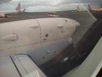 IMG_20220321_070137459.jpg IMG_20220321_070137459.jpg