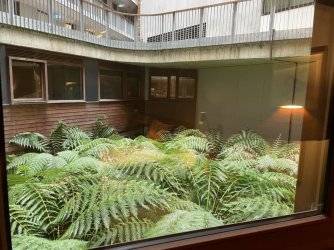 IMG_2812.JPEG IMG_2812.JPEG