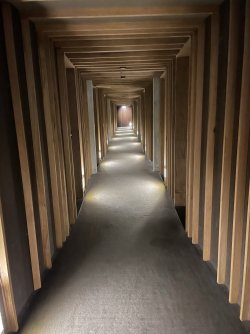 IMG_2818.JPEG IMG_2818.JPEG