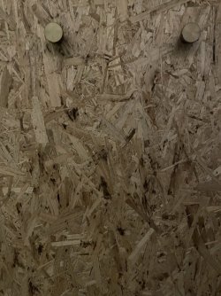 IMG_2819.JPEG IMG_2819.JPEG