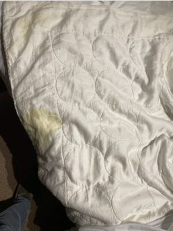 1648013411333.png 1648013411333.png