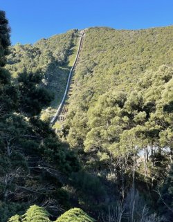 61A5F07F-4A3C-4708-8DF9-AB11B0AB3CED.jpeg 61A5F07F-4A3C-4708-8DF9-AB11B0AB3CED.jpeg