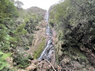 621A5771-E3C6-4C77-A2E6-AED3286597DD.jpeg 621A5771-E3C6-4C77-A2E6-AED3286597DD.jpeg