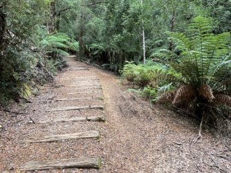 1A578C1B-DA53-462B-B3F6-054BE4FBDF7B.jpeg 1A578C1B-DA53-462B-B3F6-054BE4FBDF7B.jpeg