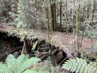 911D4836-B60C-404F-AAE4-43F5758ABB53.jpeg 911D4836-B60C-404F-AAE4-43F5758ABB53.jpeg