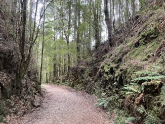 108644D5-F874-44BF-8202-D945E7F26F34.jpeg 108644D5-F874-44BF-8202-D945E7F26F34.jpeg