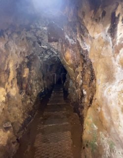 B0319B1B-5A12-446A-9C75-C384D82CF64F.jpeg B0319B1B-5A12-446A-9C75-C384D82CF64F.jpeg