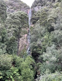 4646C8B6-9DF9-4486-8721-C1D0A79302DD.jpeg 4646C8B6-9DF9-4486-8721-C1D0A79302DD.jpeg