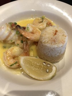 7046A4A5-707A-449B-862E-B94523433684.jpeg 7046A4A5-707A-449B-862E-B94523433684.jpeg