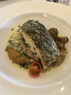 F427D3EC-EACE-4927-85AC-DF3057FB134E.jpeg F427D3EC-EACE-4927-85AC-DF3057FB134E.jpeg