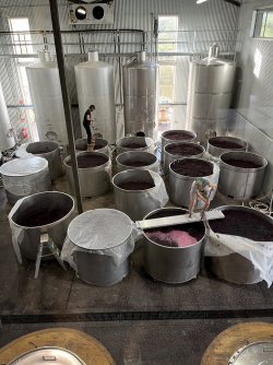 IMG_1196.jpg IMG_1196.jpg