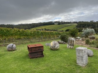 IMG_1193.jpg IMG_1193.jpg