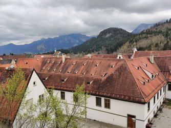 2022-04-16 14.42.13.jpg 2022-04-16 14.42.13.jpg