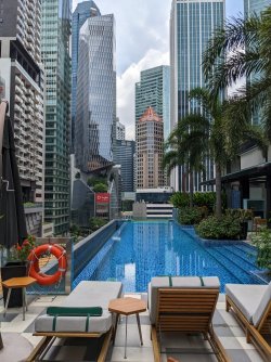 PXL_20220413_041101485.jpg PXL_20220413_041101485.jpg