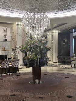 954AE790-E81C-4457-AA6F-6764273CBB45.jpeg 954AE790-E81C-4457-AA6F-6764273CBB45.jpeg