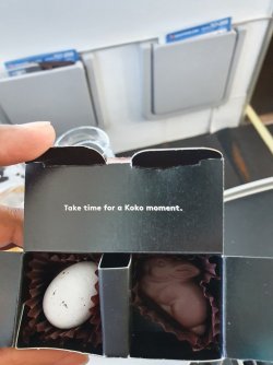 20220417_123815.jpg 20220417_123815.jpg